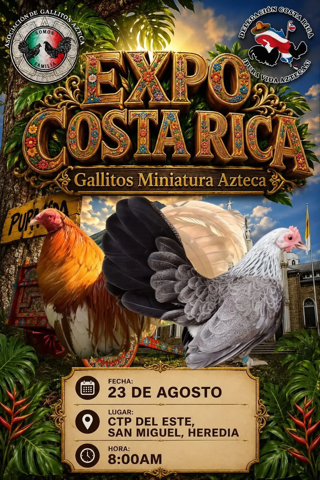 Únete a la celebración de la cultura de los Gallitos Miniatura Azteca en Heredia. ¡Un evento para toda la familia!