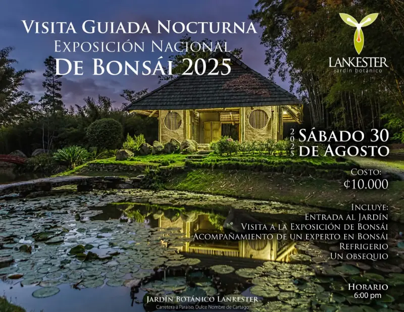 Que hacer hoy en Costa Rica: Disfrutá de una visita guiada nocturna en el Jardín Botánico Lankester con la 7ma Exposición Nacional de Bonsái.