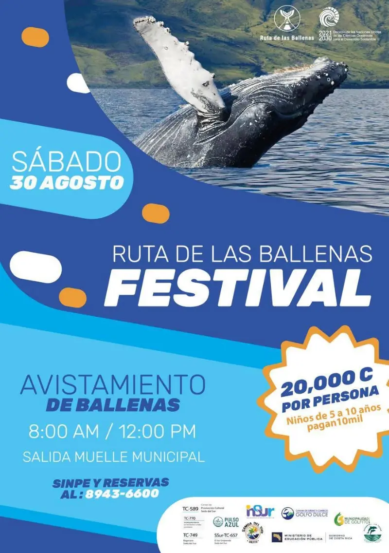 Que hacer hoy en Costa Rica: Este sábado 30 de agosto viví el Festival Ruta de las Ballenas con tours de avistamiento en el Golfo Dulce.