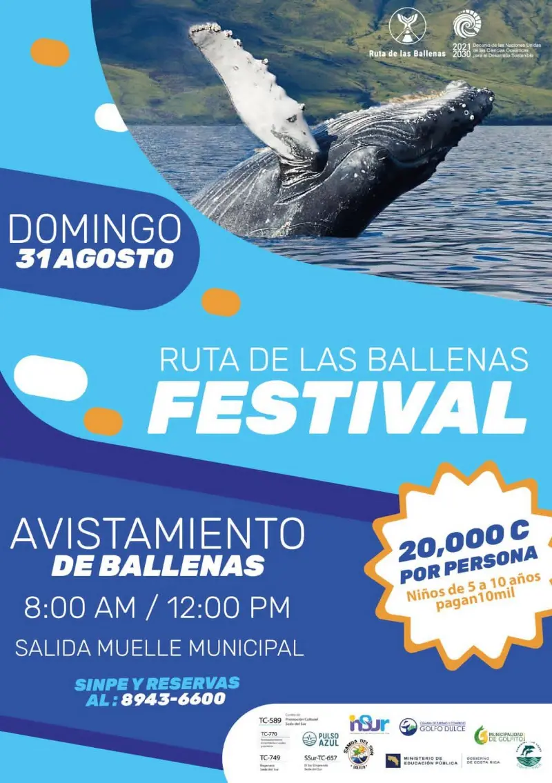 Que hacer hoy en Costa Rica: Este domingo 31 de agosto continuá con el Festival Ruta de las Ballenas y observá ballenas jorobadas en el Golfo Dulce.