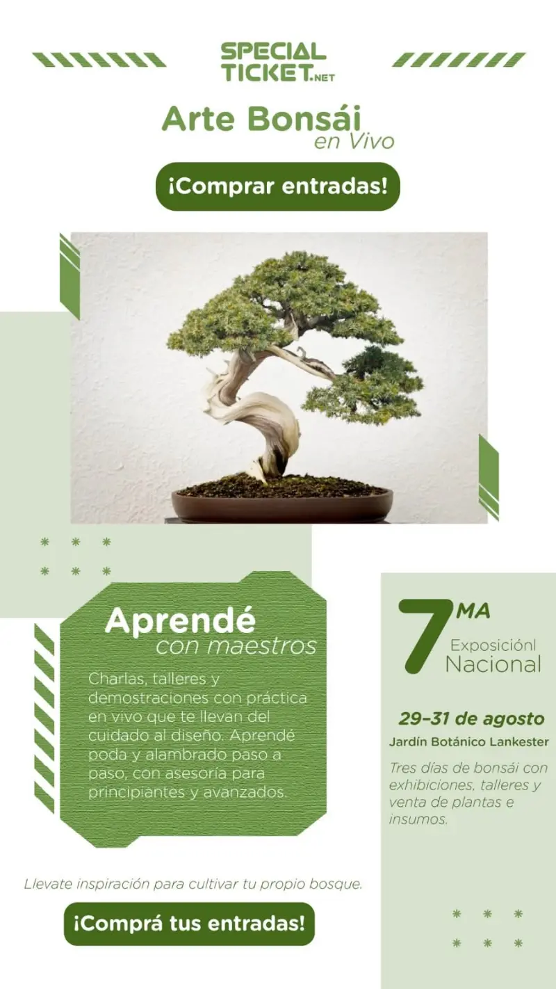Que hacer hoy en Costa Rica: Del 29 al 31 de agosto viví la 7ma Exposición Nacional de Bonsái en el Jardín Botánico Lankester con charlas, talleres y exhibiciones.