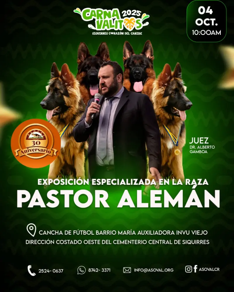 Que hacer hoy en Costa Rica: Exposición especializada de la raza Pastor Alemán en Siquirres, parte de Carnavalitos 2025.