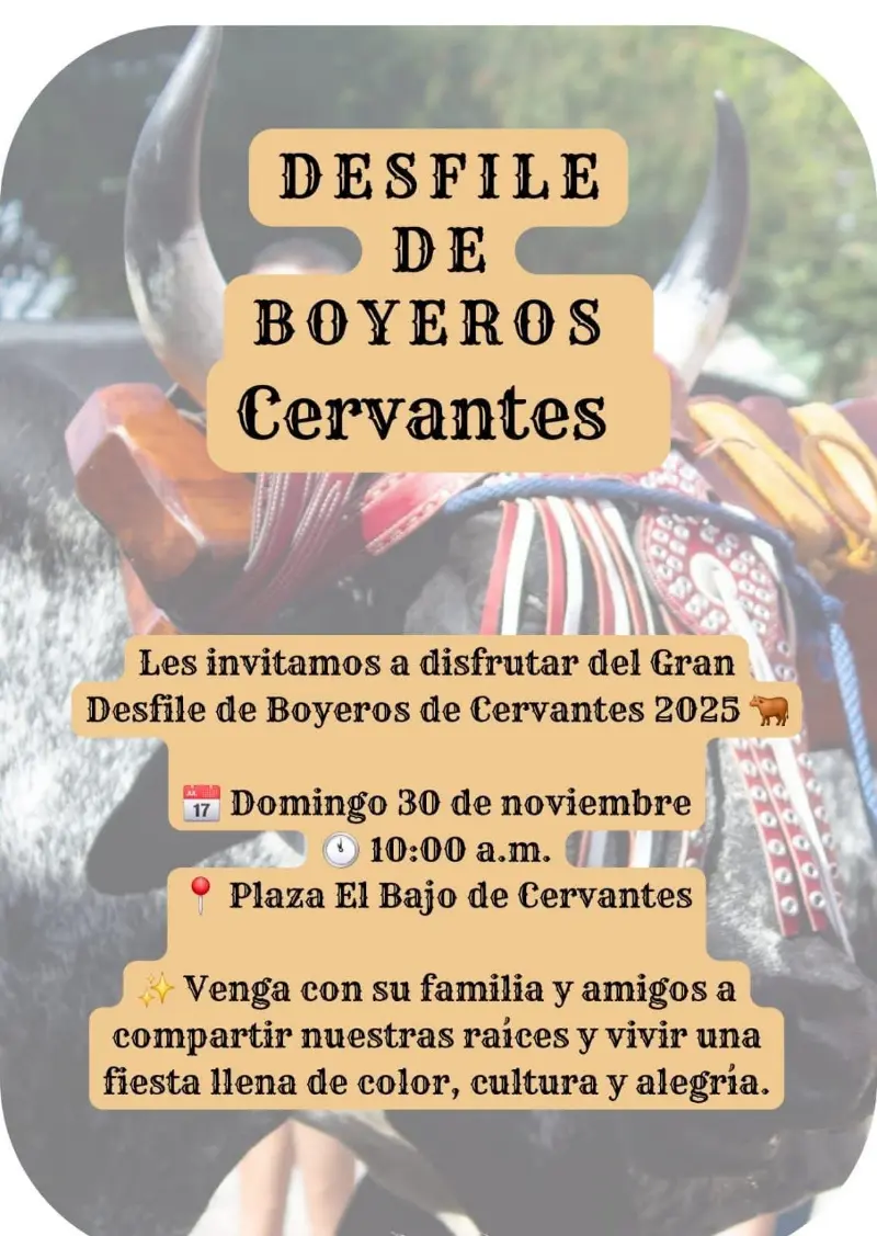 Que hacer hoy en Costa Rica: Gran desfile de boyeros en Cervantes con tradición, color y cultura.
