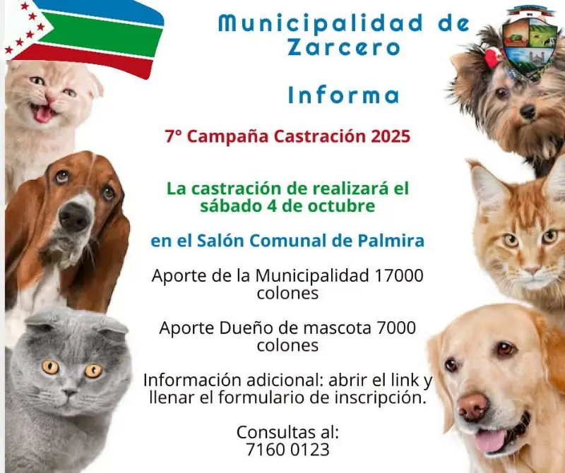 Que hacer hoy en Costa Rica: La Municipalidad de Zarcero organiza la 7° Campaña de Castración este 4 de octubre en el Salón Comunal de Palmira.