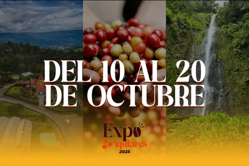Que hacer hoy en Costa Rica: Del 10 al 20 de octubre, Aquiares celebra la cultura del café con la Expo Café 2025.