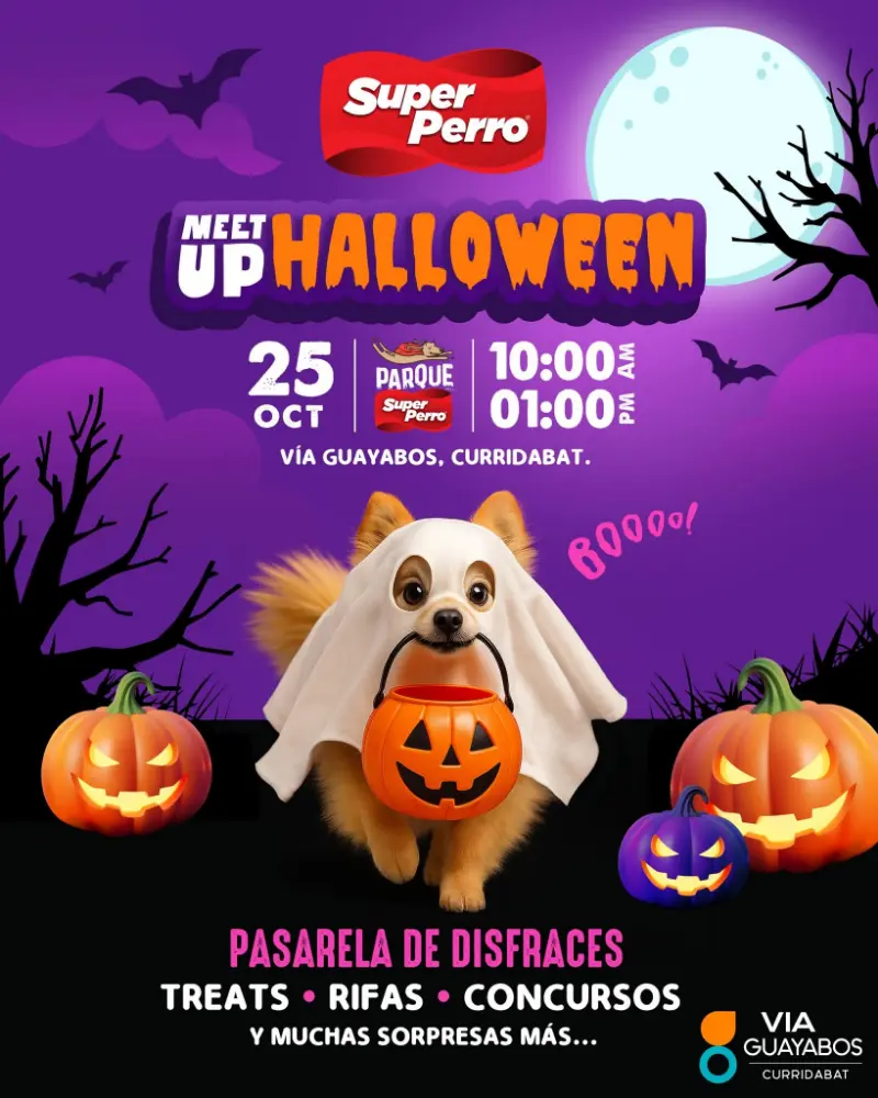 Que hacer hoy en Costa Rica: Super Perro celebra Halloween con pasarela de disfraces, rifas, concursos y muchas sorpresas para los peludos y sus dueños.