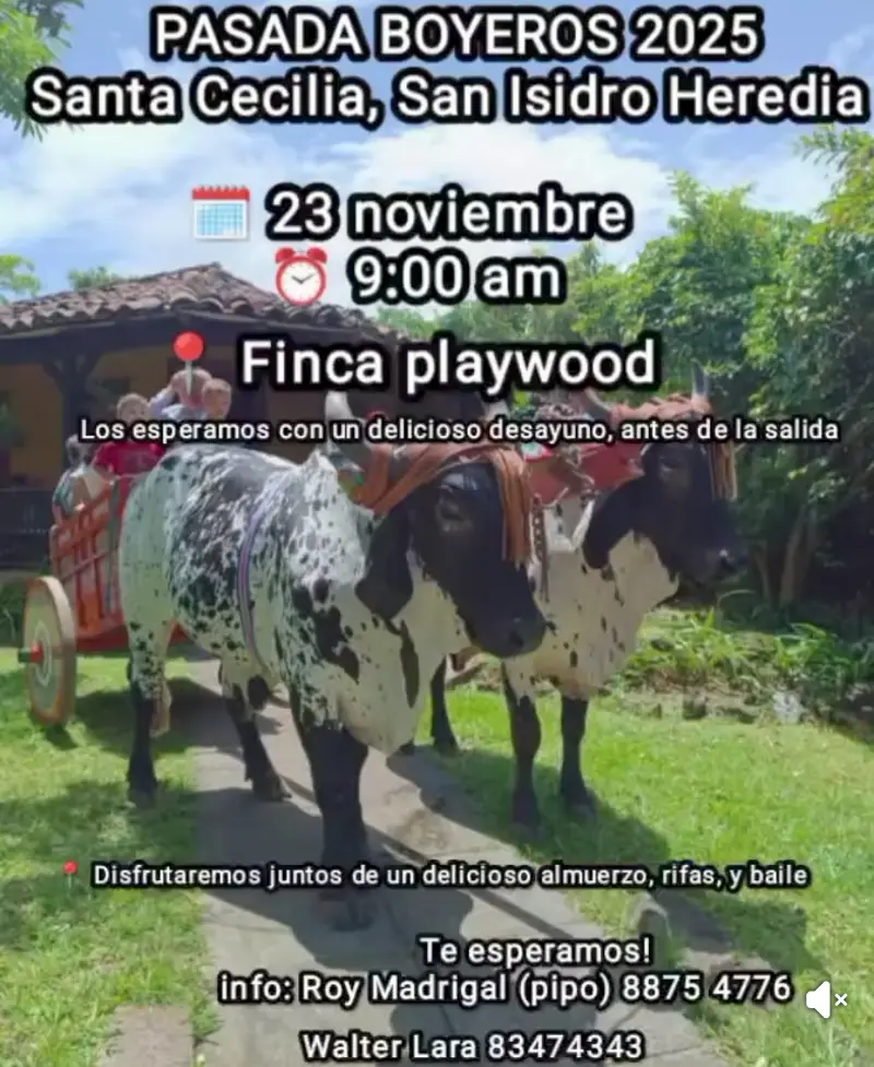 Que hacer hoy en Costa Rica: Tradición, desayuno, almuerzo y baile en la Pasada de Boyeros en Finca Playwood, Heredia.