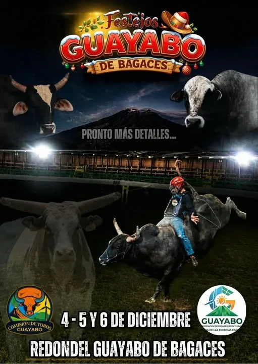 Tres días de festejos taurinos en diciembre en el Redondel Guayabo de Bagaces.