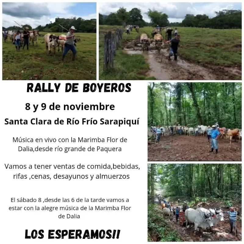 Que hacer hoy en Costa Rica: El 8 y 9 de noviembre se celebrará el tradicional Rally de Boyeros en Santa Clara de Río Frío, con música en vivo, comidas y rifas.