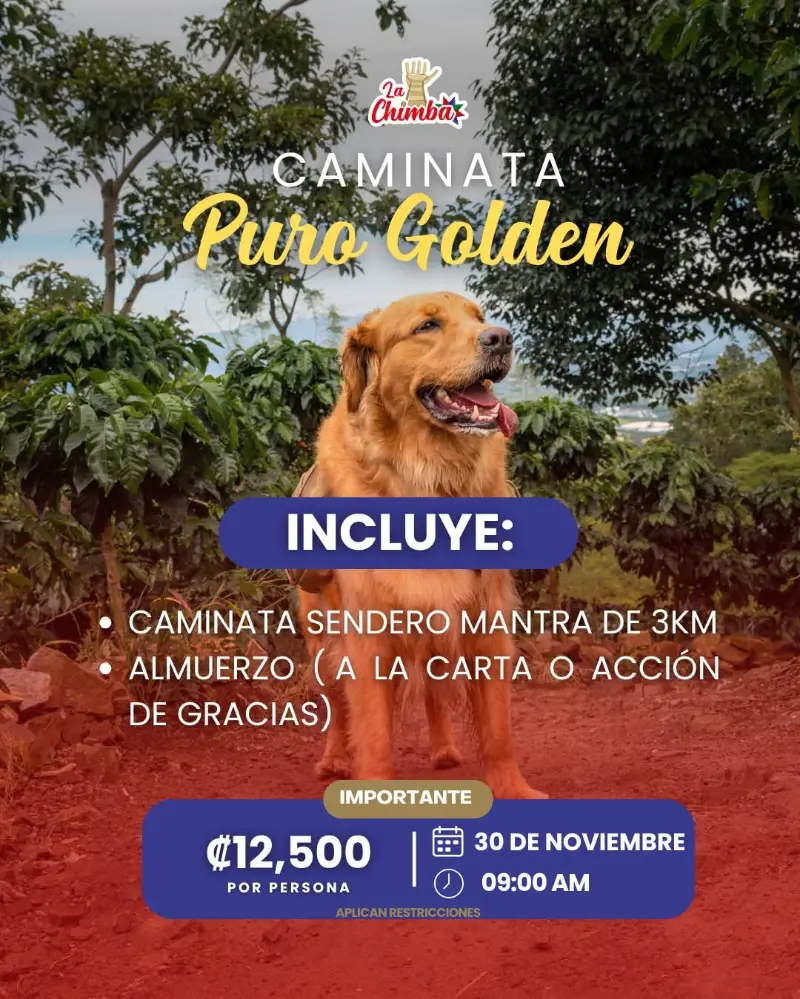 Que hacer hoy en Costa Rica: El 30 de noviembre disfrutá una caminata especial junto a tu peludo en el Sendero del Mantra con almuerzo incluido.