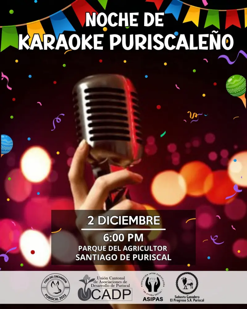 Una noche llena de música, talento local y diversión en el Parque del Agricultor en Puriscal.