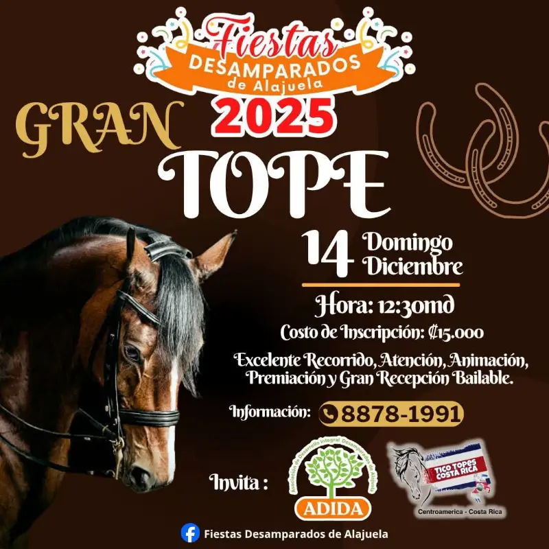 Que hacer hoy en Costa Rica: El Gran Tope de Desamparados de Alajuela llega este 14 de diciembre con recorrido, animación, música y premiación.
