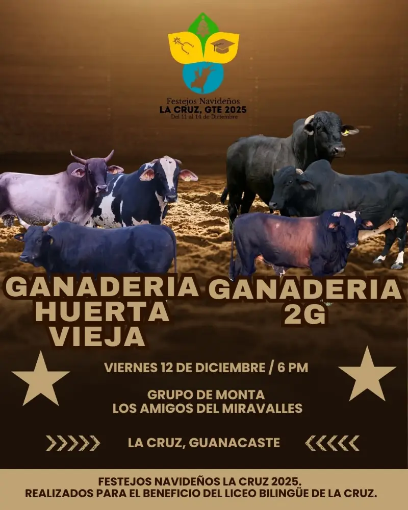 Que hacer hoy en Costa Rica: Ganadería Huerta Vieja y Ganadería 2G presentan una noche de montas en los festejos de La Cruz.