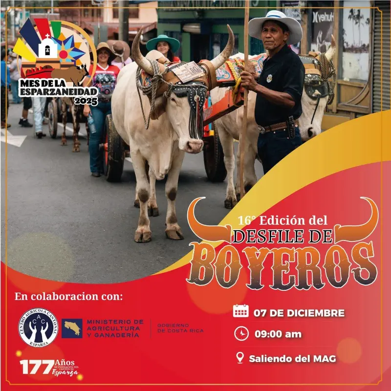 Que hacer hoy en Costa Rica: Tradicional desfile de boyeros como parte del mes de la esparzaneidad, con salida desde el MAG.