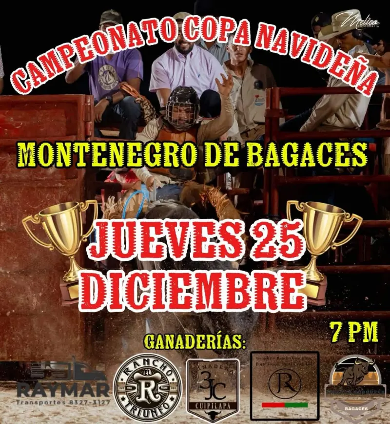 Que hacer hoy en Costa Rica: Competencia taurina con destacadas ganaderías en Montenegro de Bagaces durante los festejos navideños.