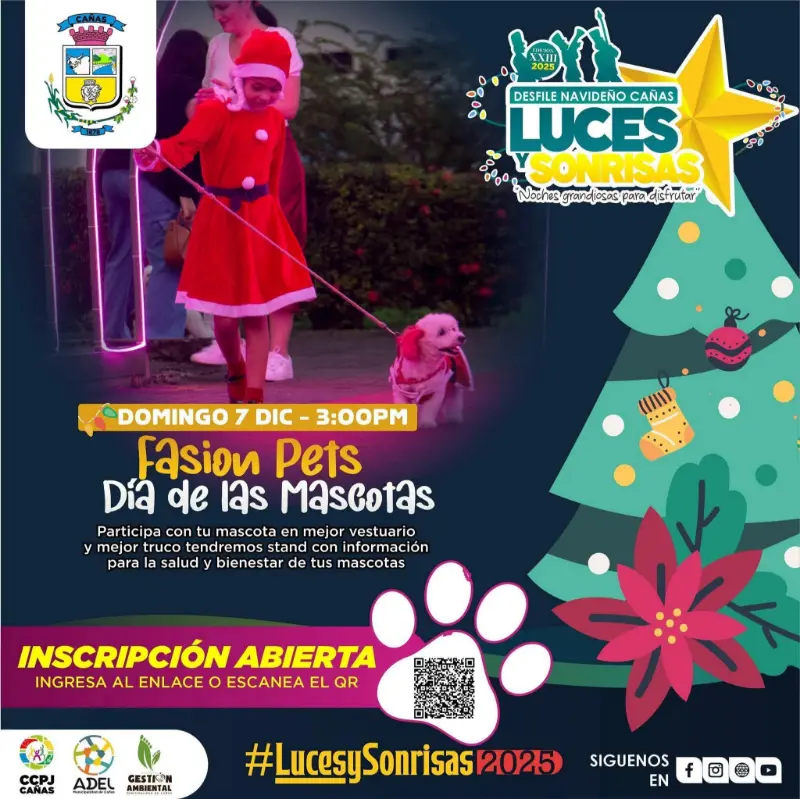 Que hacer hoy en Costa Rica: Fashion Pets llega con su segunda edición, un concurso navideño para mascotas con premios, sorpresas y actividades familiares.