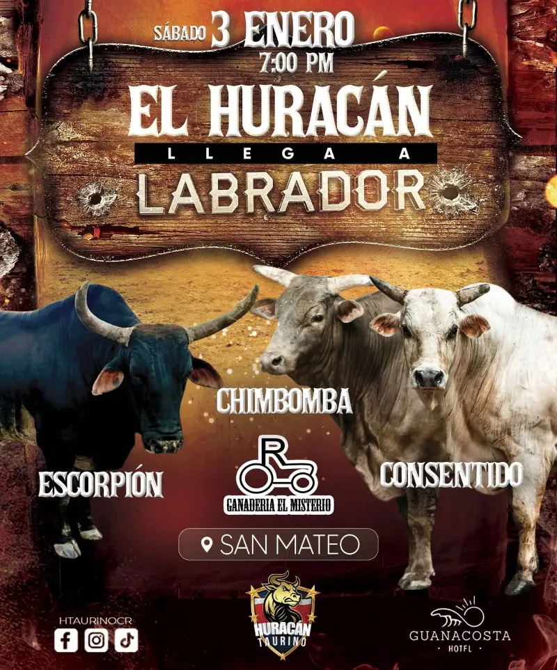 Gran evento taurino con toros de Ganadería El Misterio este sábado 3 de enero en Labrador de San Mateo.