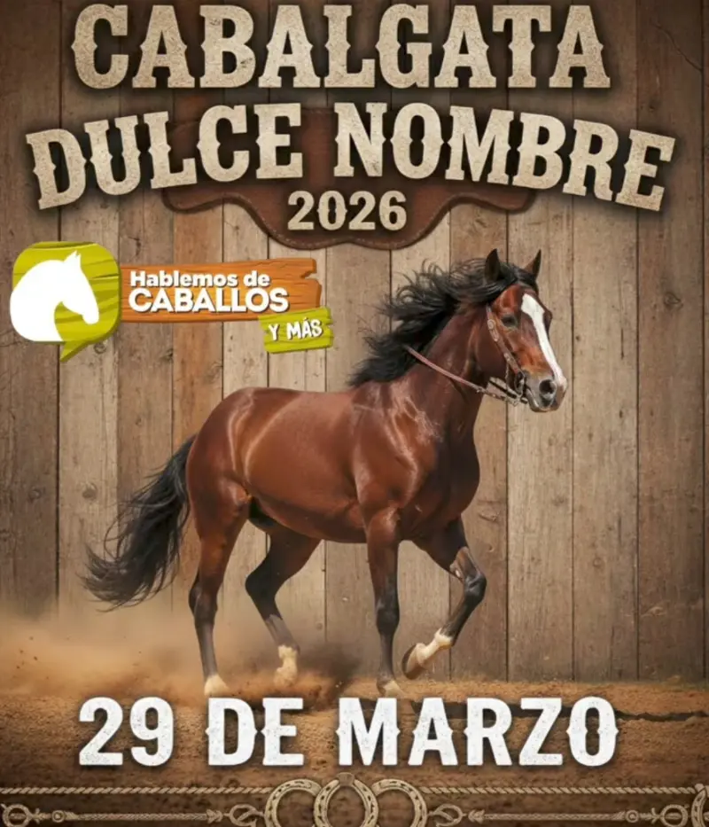 Que hacer hoy en Costa Rica: Gran cabalgata comunitaria que reunirá a amantes de los caballos en una jornada llena de tradición y ambiente familiar.