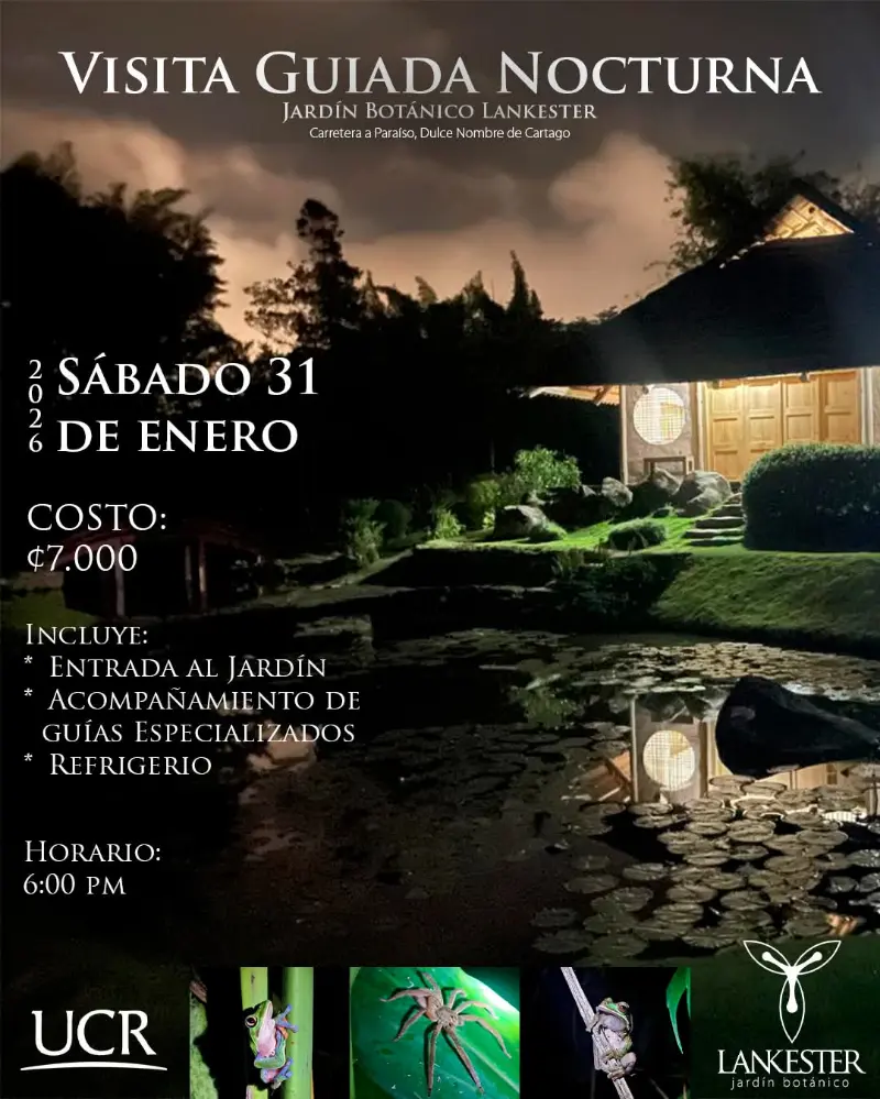 Que hacer hoy en Costa Rica: Exploración nocturna guiada para descubrir la vida silvestre y flora del jardín bajo las estrellas.