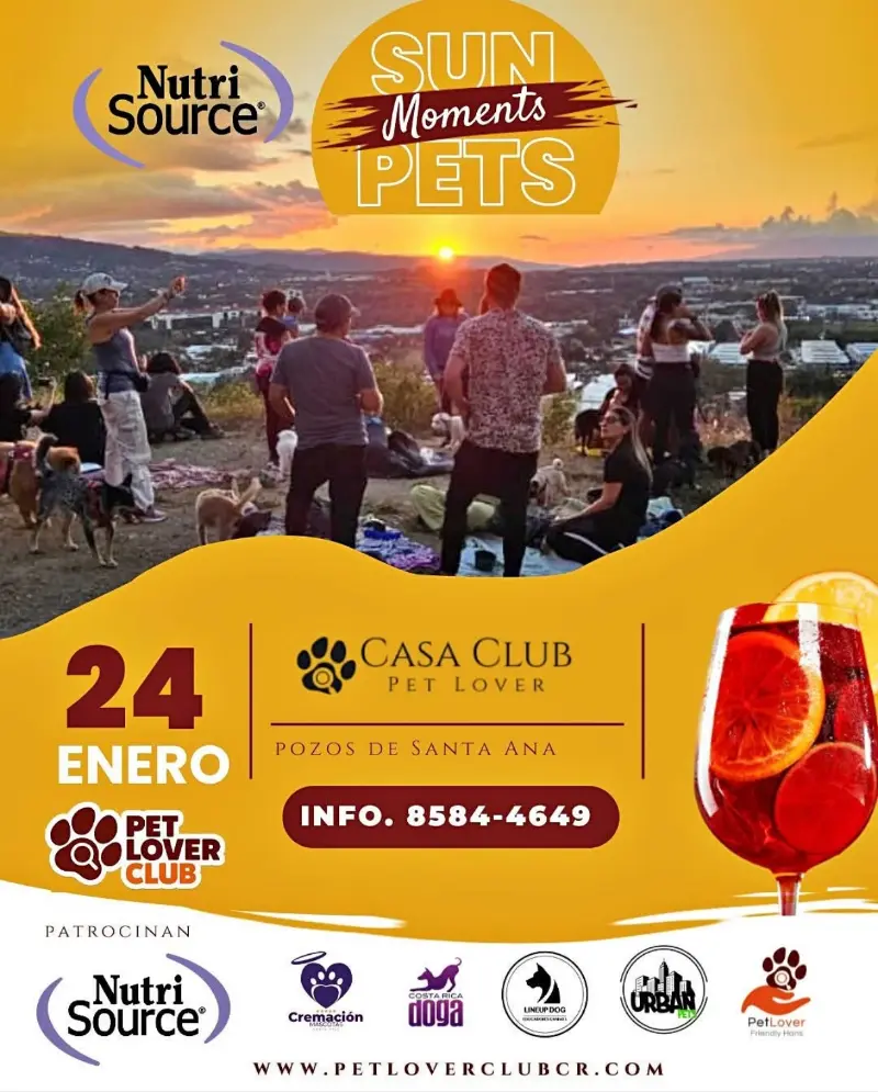 Que hacer hoy en Costa Rica: Una experiencia exclusiva al atardecer diseñada para disfrutar junto a su mascota en un ambiente Pet Friendly.