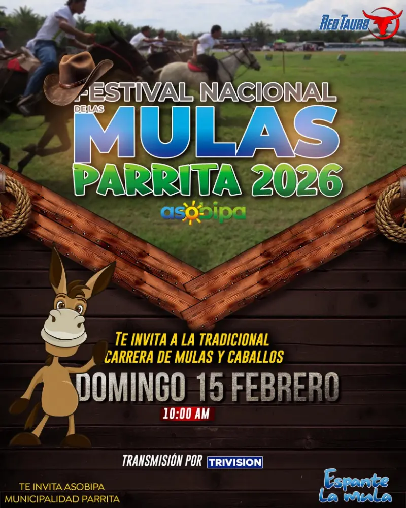 Que hacer hoy en Costa Rica: Tradicional competencia de mulas y caballos en el marco del reconocido Festival Nacional de las Mulas.