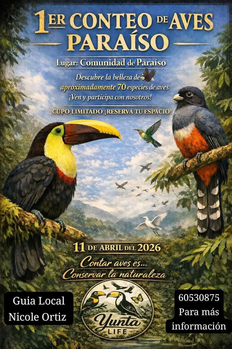 Que hacer hoy en Costa Rica: Participá en el Primer Conteo de Aves Paraíso este 11 de abril 2026 en la comunidad de Paraíso, Buenos Aires. Cupo limitado.