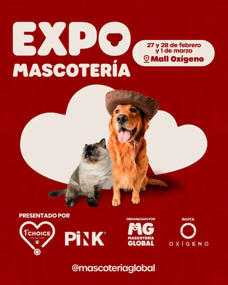Que hacer hoy en Costa Rica: ExpoMascotería regresa a Mall Oxígeno con productos, actividades y sorpresas para los amantes de las mascotas.