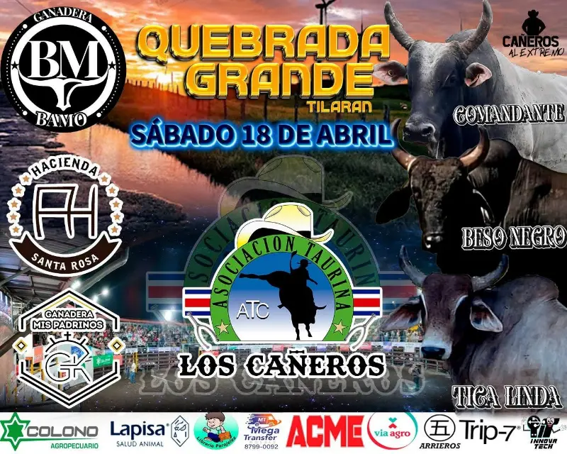 Que hacer hoy en Costa Rica: Espectáculo taurino con los mejores toros y montadores en Tilarán y Nicoya.