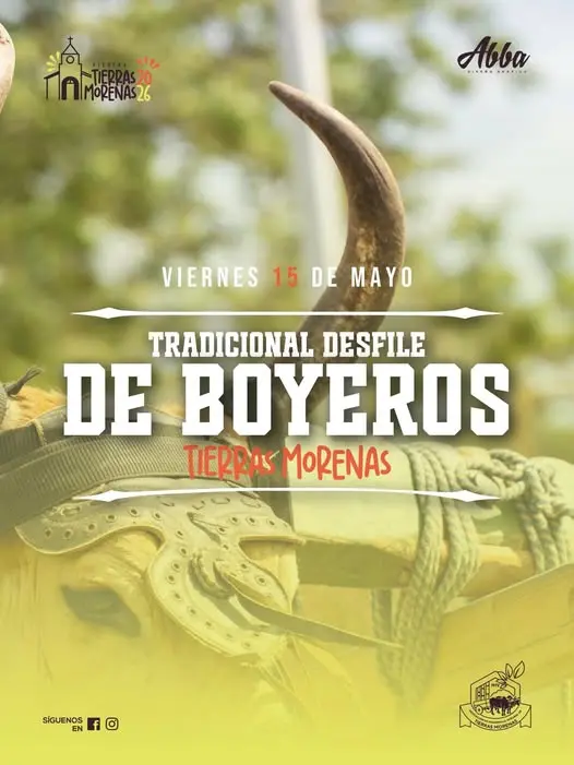 Viví la tradición del desfile de boyeros en una celebración cultural única.