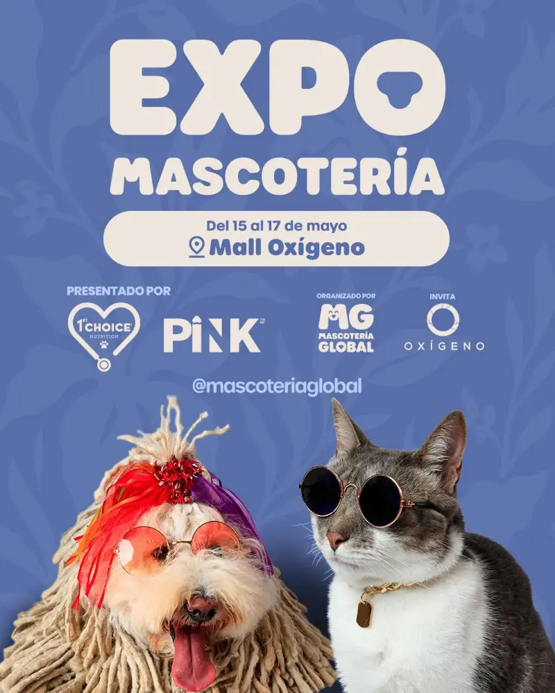 Que hacer hoy en Costa Rica: Feria dedicada al mundo de las mascotas con productos, experiencias y actividades para toda la familia.