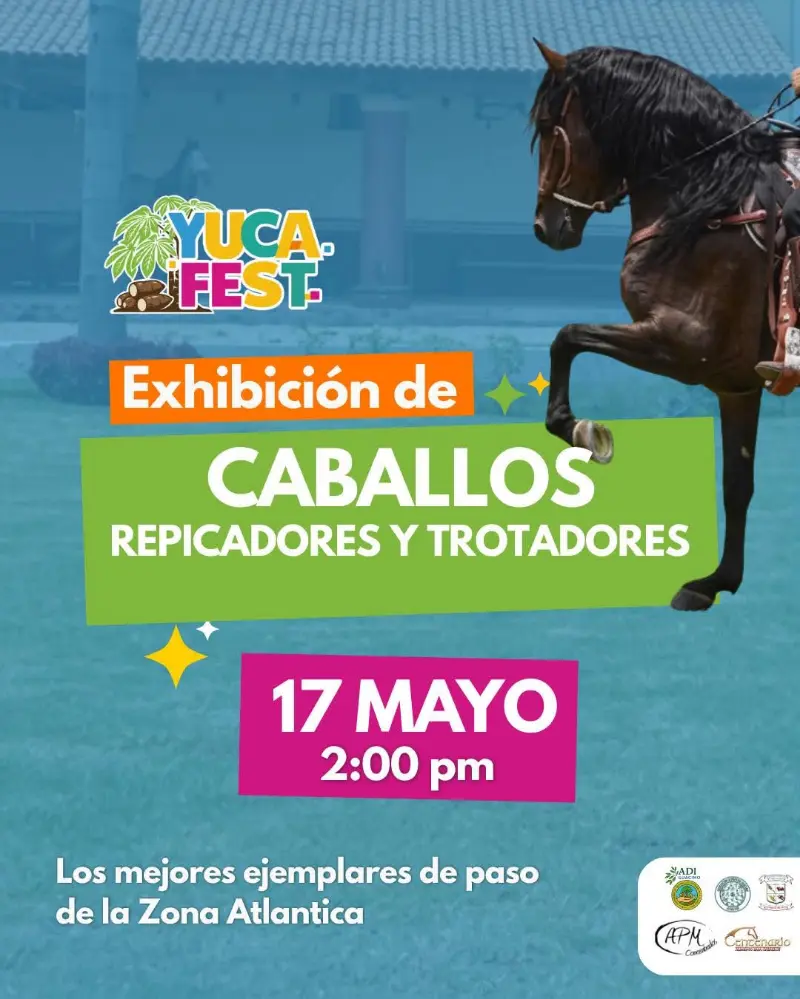 Que hacer hoy en Costa Rica: Un espectáculo de elegancia y tradición con los mejores caballos de la Zona Atlántica en Guácimo.