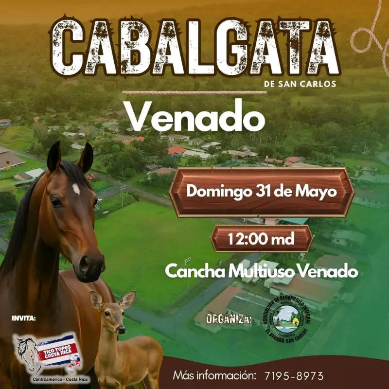 Que hacer hoy en Costa Rica: Disfrutá la cabalgata en Venado de San Carlos con tradición, caballos y ambiente familiar.