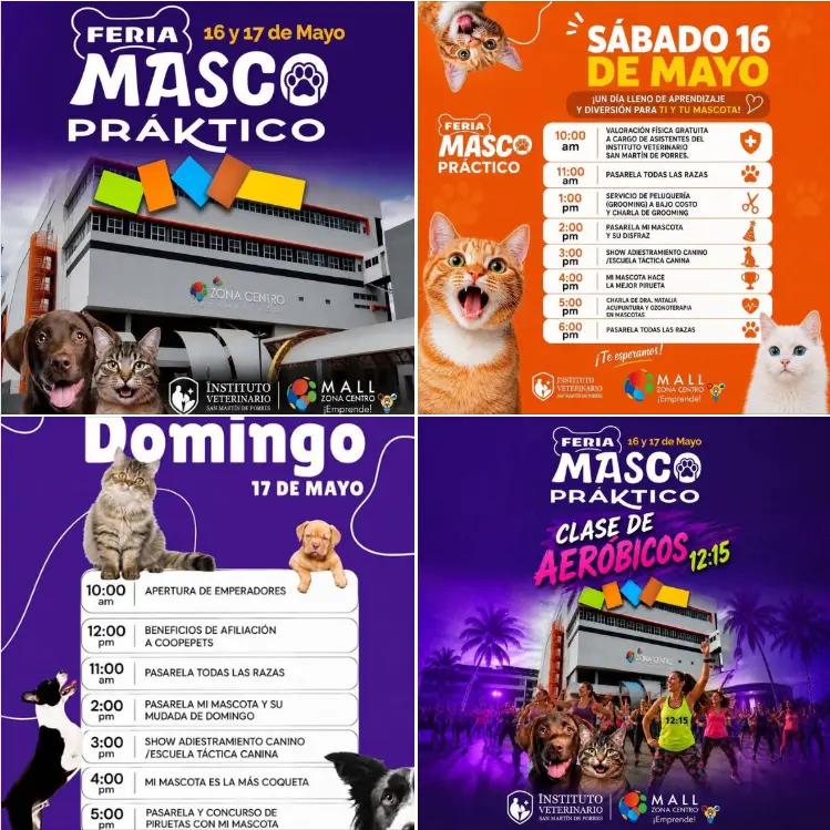 Que hacer hoy en Costa Rica: Disfrutá de dos días llenos de actividades, pasarelas, concursos y diversión para mascotas en la Feria Masco Práctico 2026.