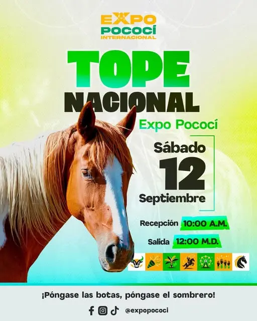 Que hacer hoy en Costa Rica: El Gran Tope Nacional de Expo Pococí Internacional 2026 reunirá caballistas y tradición en una de las actividades más esperadas de la región Caribe.