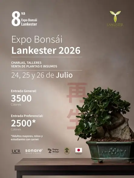 Que hacer hoy en Costa Rica: Disfrute de la 8.ª Exposición Nacional de Bonsái con más de 100 árboles en exhibición, talleres, charlas, venta de plantas e insumos y actividades para toda la familia.