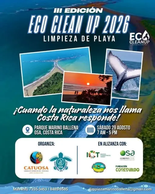 Que hacer hoy en Costa Rica: Participa en una jornada de limpieza de playa y conservación ambiental en el Parque Marino Ballena, contribuyendo a la protección de los ecosistemas marinos de Costa Rica.