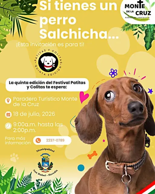 Que hacer hoy en Costa Rica: La quinta edición del festival para mascotas y sus familias llega al Paradero Turístico Monte de la Cruz.