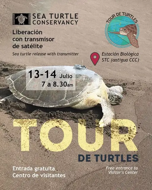 Que hacer hoy en Costa Rica: Viví de cerca la liberación de una tortuga marina con transmisor satelital, entrada gratuita para toda la familia.