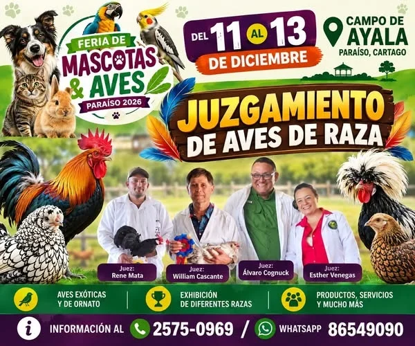 Evento con juzgamiento de aves de raza, exhibición de diferentes razas y productos para mascotas en Paraíso, Cartago.