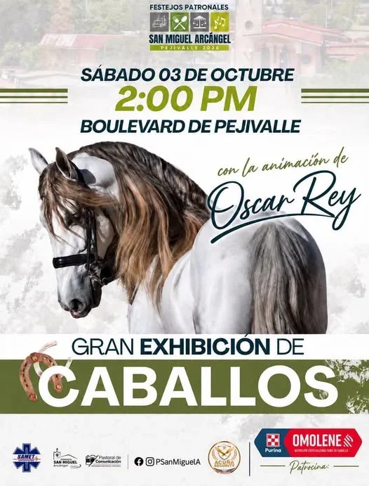 Gran Exhibición de Caballos