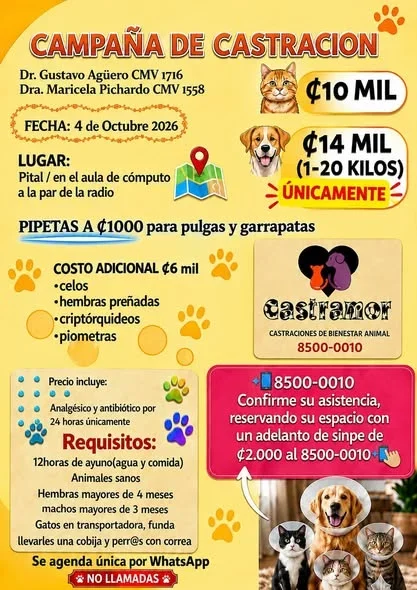 Campaña de Castración en Pital
