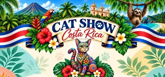 Expo felina internacional con competencia y exhibición de razas de gatos en Centro Comercial Terramall, Tres Ríos.