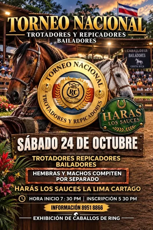 Quinta fecha del torneo nacional de caballos trotadores, repicadores y bailadores en Haras Los Sauces, con competencias por categorías y exhibición de caballos peruanos.