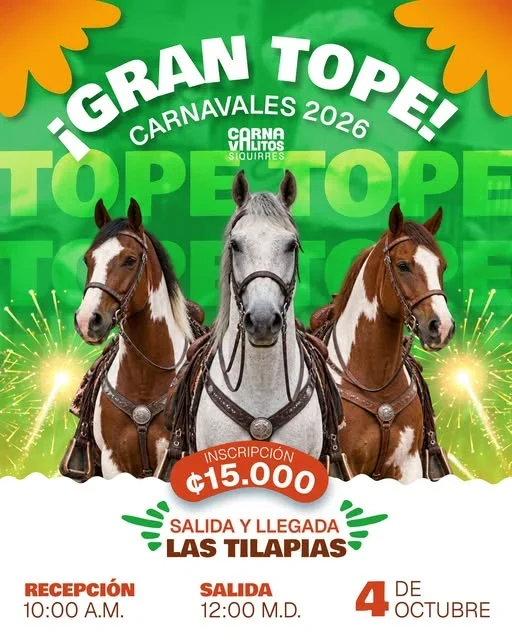 Palmares Festival