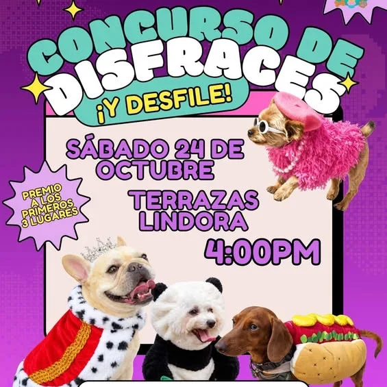 Diviértete en el desfile de disfraces en Terrazas Lindora con premios para los mejores y puntos extra si haces match con tu perrito.