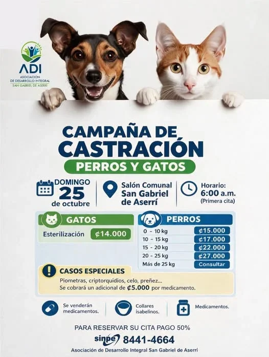 Campaña de castración para perros y gatos en el Salón Comunal San Gabriel de Aserrí; tarifas desde ₡14.000 y primera cita a las 6:00 a. m.