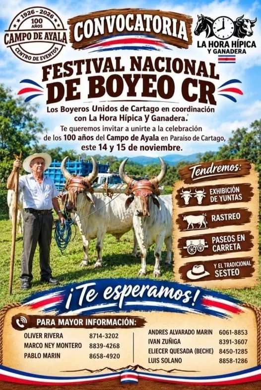 Festival nacional en el Campo de Ayala (Paraíso de Cartago) con exhibición de yuntas, rastreo, paseos en carreta y el tradicional sesteo.